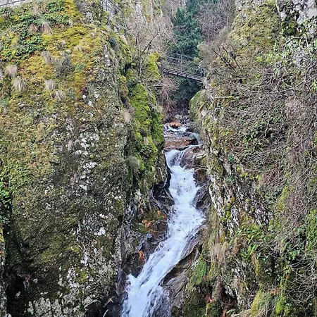 샬레 Casa Do Mel - Refugio Na Serra Da Estrela 사부게이루