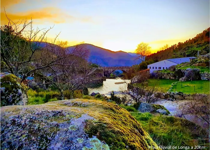 Chalet Casa Do Mel - Refúgio Na Serra Da Estrela Sabugueiro (Guarda)