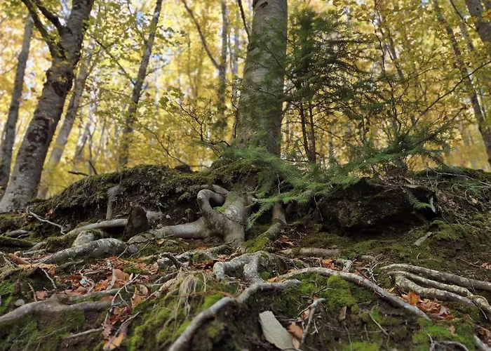 Casa Do Mel - Refúgio Na Serra Da Estrela *